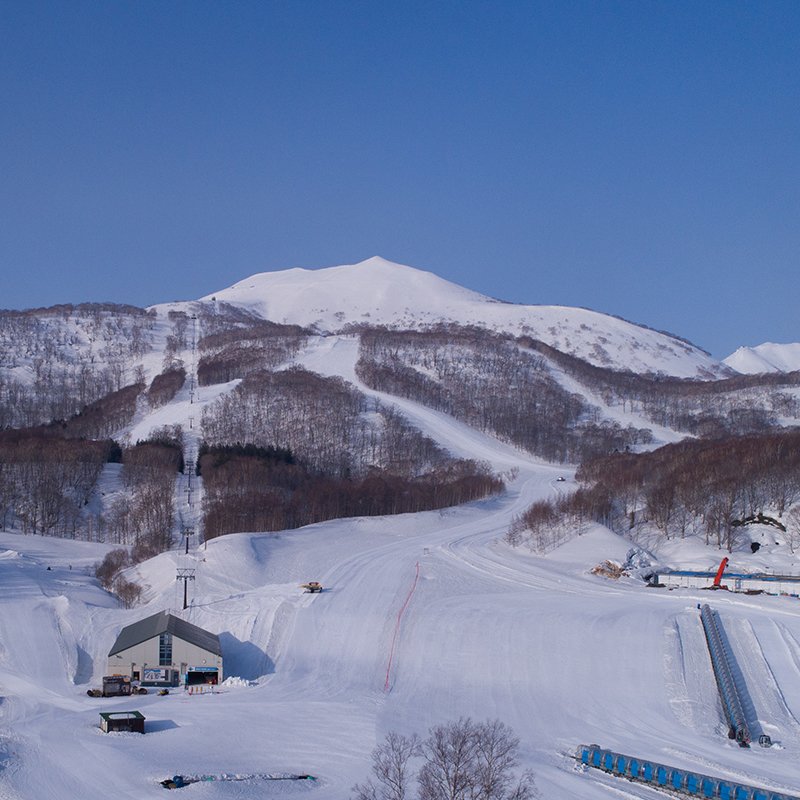 Hanazono niseko faction roxy skis demo medium